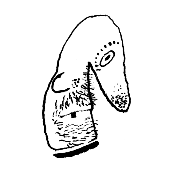 Autor - Ludv&iacute;k A&scaron;kenazy