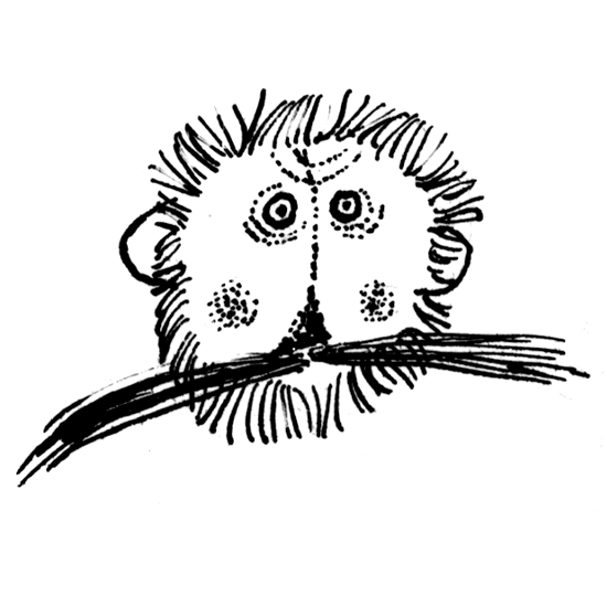 Autor - Lisen Adb&aring;ge